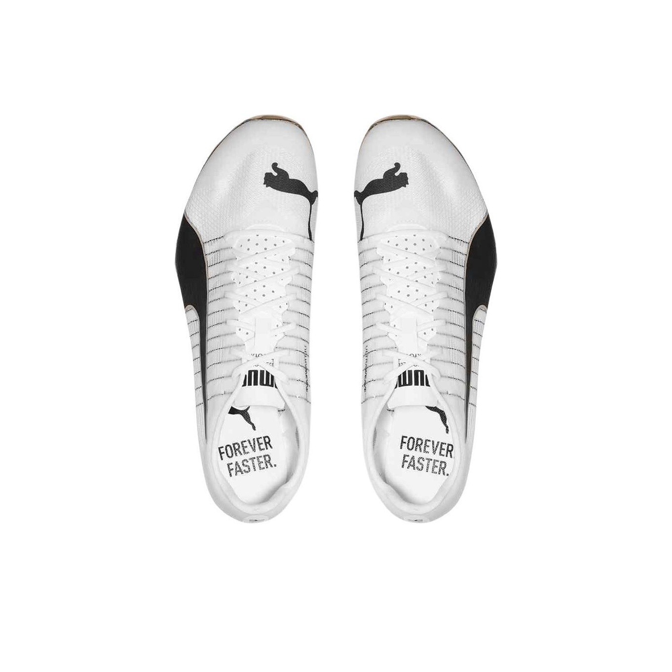 PUMA EvoSPEED 400 Nitro 2 Low  - Puma Shoes Rs-X ulasan dan harga